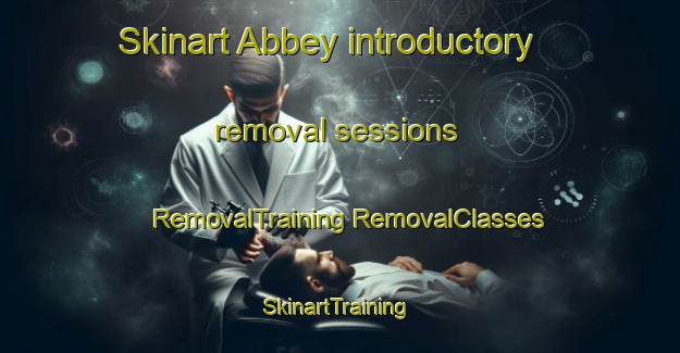 Skinart Abbey introductory removal sessions | #RemovalTraining #RemovalClasses #SkinartTraining-South Africa