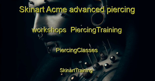 Skinart Acme advanced piercing workshops | #PiercingTraining #PiercingClasses #SkinartTraining-South Africa