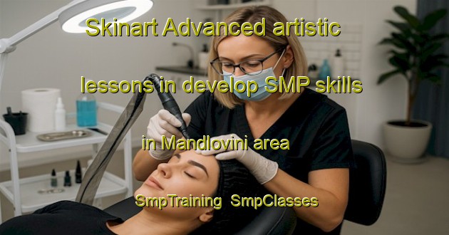 Skinart Advanced artistic lessons in develop SMP skills in Mandlovini area | SmpTraining | SmpClasses | SkinartTraining-South Africa