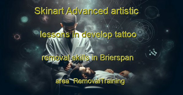 Skinart Advanced artistic lessons in develop tattoo removal skills in Brierspan area | RemovalTraining | RemovalClasses | SkinartTraining-South Africa