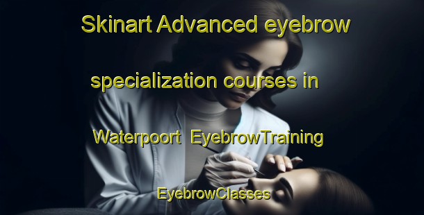 Skinart Advanced eyebrow specialization courses in Waterpoort | EyebrowTraining | EyebrowClasses | SkinartTraining-South Africa