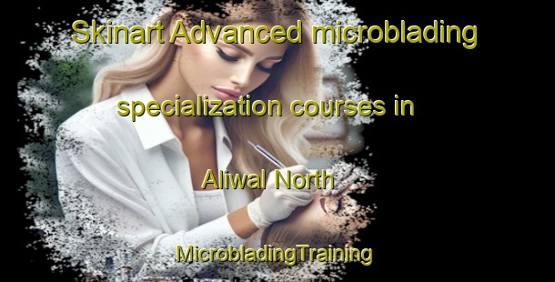 Skinart Advanced microblading specialization courses in Aliwal North | #MicrobladingTraining #MicrobladingClasses #SkinartTraining-South Africa