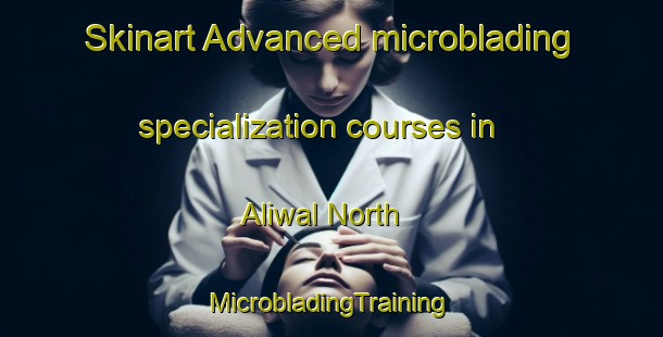 Skinart Advanced microblading specialization courses in Aliwal North | #MicrobladingTraining #MicrobladingClasses #SkinartTraining-South Africa