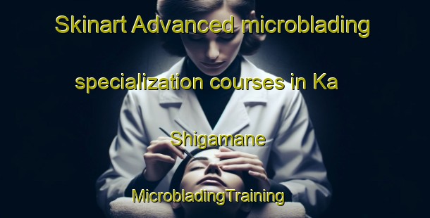Skinart Advanced microblading specialization courses in Ka Shigamane | MicrobladingTraining | MicrobladingClasses | SkinartTraining-South Africa