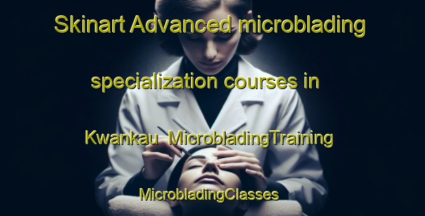 Skinart Advanced microblading specialization courses in Kwankau | MicrobladingTraining | MicrobladingClasses | SkinartTraining-South Africa