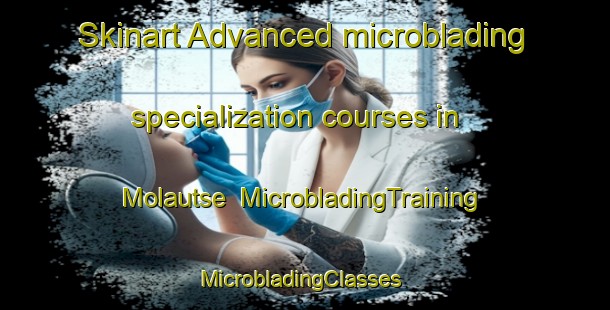 Skinart Advanced microblading specialization courses in Molautse | MicrobladingTraining | MicrobladingClasses | SkinartTraining-South Africa