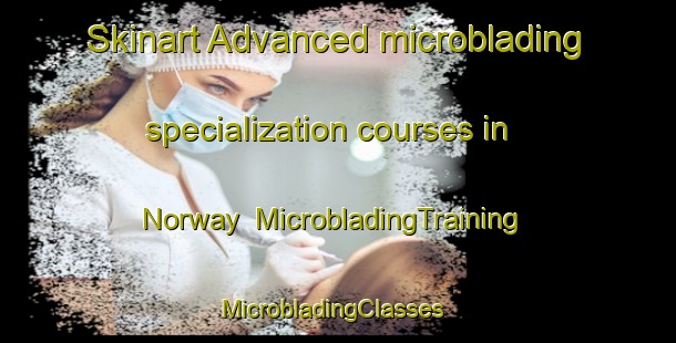 Skinart Advanced microblading specialization courses in Norway | MicrobladingTraining | MicrobladingClasses | SkinartTraining-South Africa