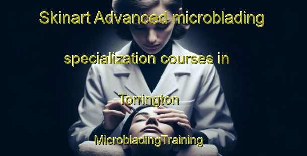 Skinart Advanced microblading specialization courses in Torrington | MicrobladingTraining | MicrobladingClasses | SkinartTraining-South Africa