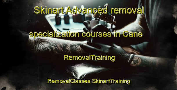 Skinart Advanced removal specialization courses in Cane | #RemovalTraining #RemovalClasses #SkinartTraining-South Africa