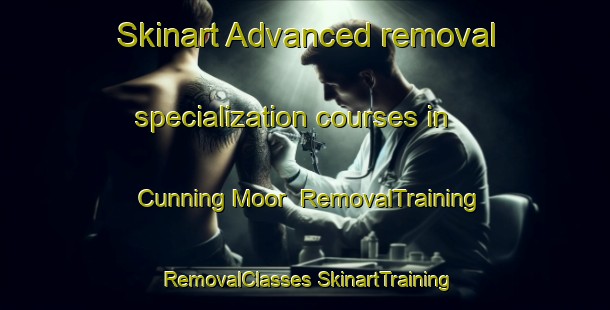 Skinart Advanced removal specialization courses in Cunning Moor | #RemovalTraining #RemovalClasses #SkinartTraining-South Africa