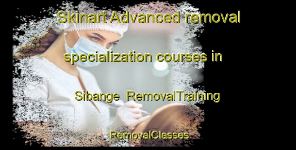 Skinart Advanced removal specialization courses in Sibange | RemovalTraining | RemovalClasses | SkinartTraining-South Africa