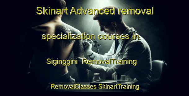 Skinart Advanced removal specialization courses in Siginggini | #RemovalTraining #RemovalClasses #SkinartTraining-South Africa