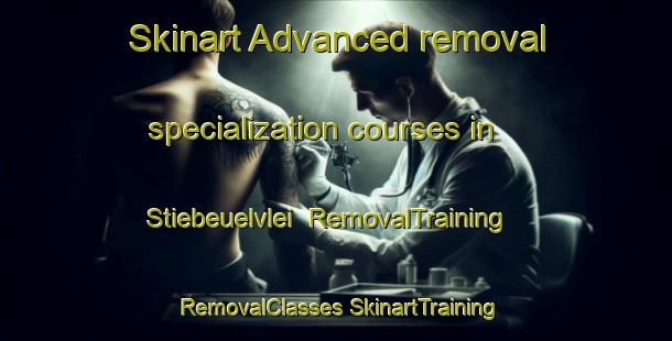 Skinart Advanced removal specialization courses in Stiebeuelvlei | #RemovalTraining #RemovalClasses #SkinartTraining-South Africa