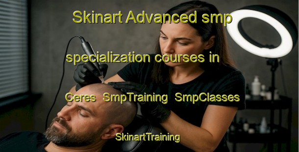 Skinart Advanced smp specialization courses in Ceres | SmpTraining | SmpClasses | SkinartTraining-South Africa