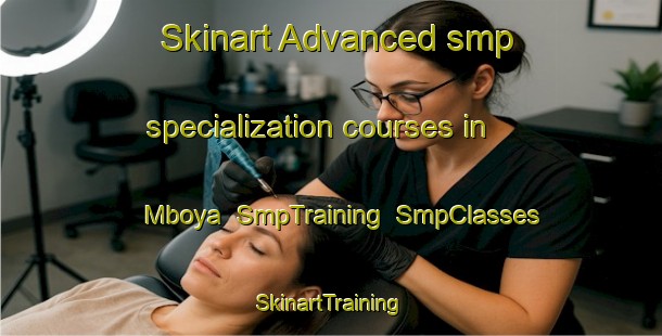 Skinart Advanced smp specialization courses in Mboya | SmpTraining | SmpClasses | SkinartTraining-South Africa