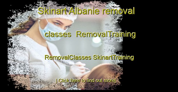 Skinart Albanie removal classes | #RemovalTraining #RemovalClasses #SkinartTraining-South Africa