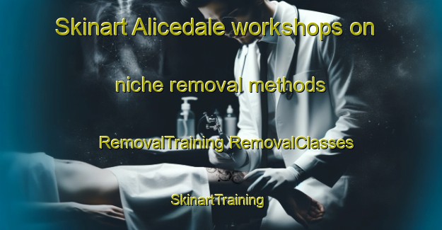 Skinart Alicedale workshops on niche removal methods | #RemovalTraining #RemovalClasses #SkinartTraining-South Africa