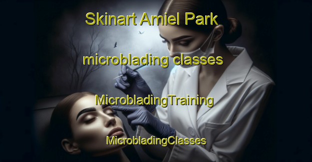 Skinart Amiel Park microblading classes | #MicrobladingTraining #MicrobladingClasses #SkinartTraining-South Africa