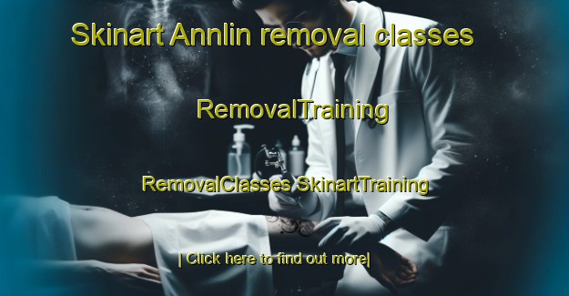 Skinart Annlin removal classes | #RemovalTraining #RemovalClasses #SkinartTraining-South Africa