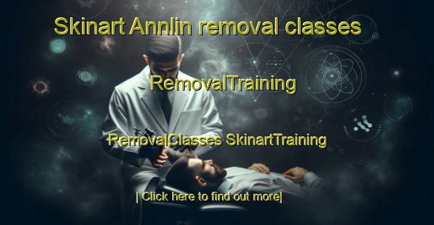 Skinart Annlin removal classes | #RemovalTraining #RemovalClasses #SkinartTraining-South Africa