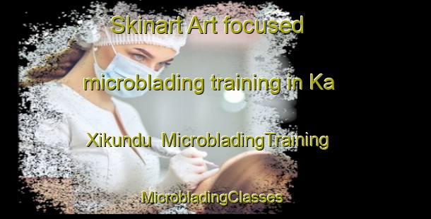 Skinart Art-focused microblading training in Ka Xikundu | MicrobladingTraining | MicrobladingClasses | SkinartTraining-South Africa