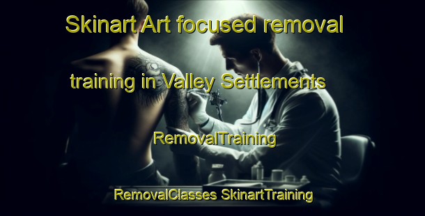 Skinart Art-focused removal training in Valley Settlements | #RemovalTraining #RemovalClasses #SkinartTraining-South Africa