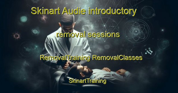 Skinart Audie introductory removal sessions | #RemovalTraining #RemovalClasses #SkinartTraining-South Africa