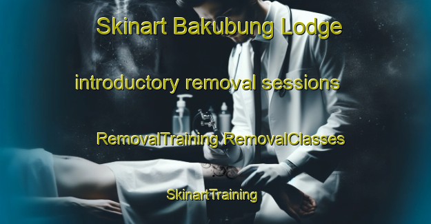 Skinart Bakubung Lodge introductory removal sessions | #RemovalTraining #RemovalClasses #SkinartTraining-South Africa