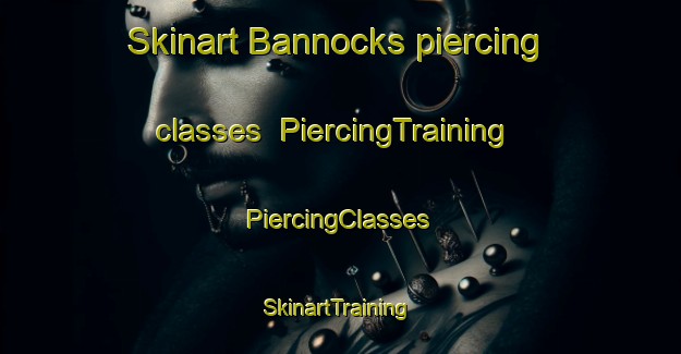 Skinart Bannocks piercing classes | #PiercingTraining #PiercingClasses #SkinartTraining-South Africa