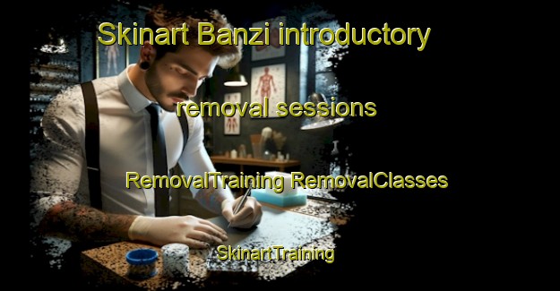 Skinart Banzi introductory removal sessions | #RemovalTraining #RemovalClasses #SkinartTraining-South Africa