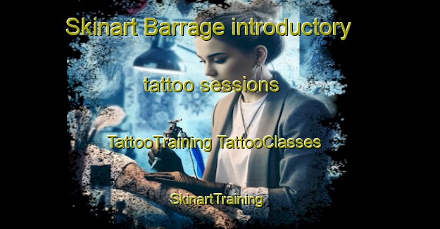 Skinart Barrage introductory tattoo sessions | #TattooTraining #TattooClasses #SkinartTraining-South Africa