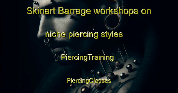 Skinart Barrage workshops on niche piercing styles | #PiercingTraining #PiercingClasses #SkinartTraining-South Africa