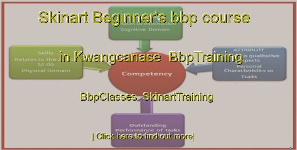 Skinart Beginner's bbp course in Kwangcanase | BbpTraining | BbpClasses | SkinartTraining-South Africa