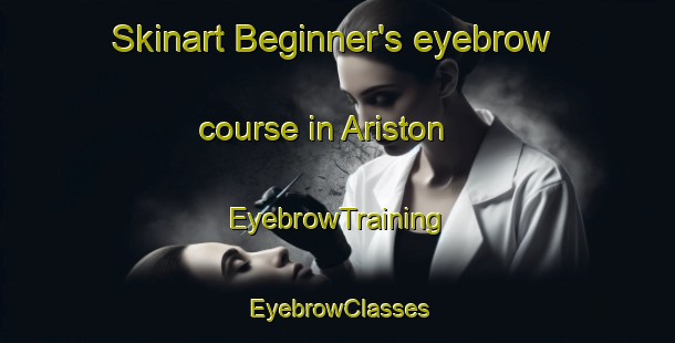 Skinart Beginner's eyebrow course in Ariston | EyebrowTraining | EyebrowClasses | SkinartTraining-South Africa