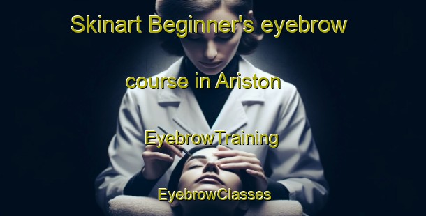 Skinart Beginner's eyebrow course in Ariston | EyebrowTraining | EyebrowClasses | SkinartTraining-South Africa