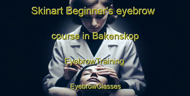 Skinart Beginner's eyebrow course in Bakenskop | EyebrowTraining | EyebrowClasses | SkinartTraining-South Africa