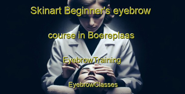 Skinart Beginner's eyebrow course in Boereplaas | EyebrowTraining | EyebrowClasses | SkinartTraining-South Africa