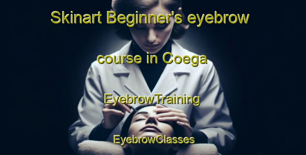 Skinart Beginner's eyebrow course in Coega | EyebrowTraining | EyebrowClasses | SkinartTraining-South Africa