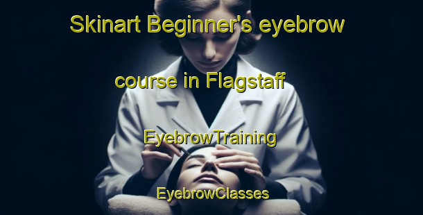 Skinart Beginner's eyebrow course in Flagstaff | EyebrowTraining | EyebrowClasses | SkinartTraining-South Africa