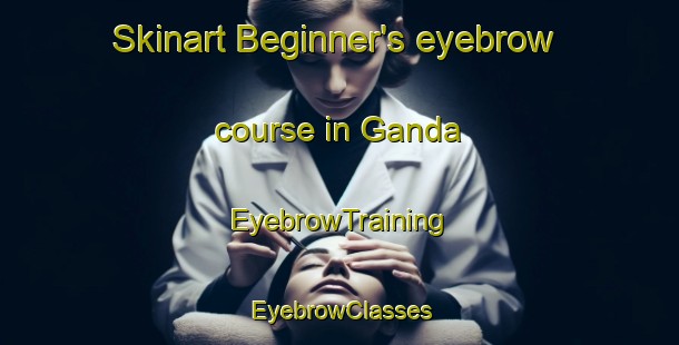 Skinart Beginner's eyebrow course in Ganda | EyebrowTraining | EyebrowClasses | SkinartTraining-South Africa