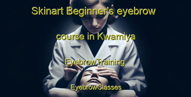 Skinart Beginner's eyebrow course in Kwamiya | EyebrowTraining | EyebrowClasses | SkinartTraining-South Africa