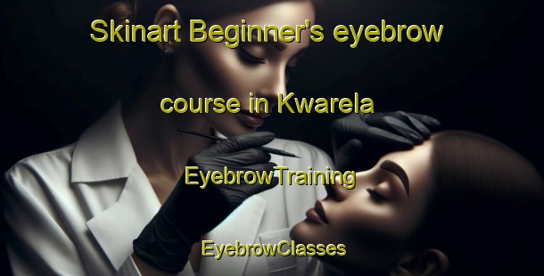 Skinart Beginner's eyebrow course in Kwarela | EyebrowTraining | EyebrowClasses | SkinartTraining-South Africa
