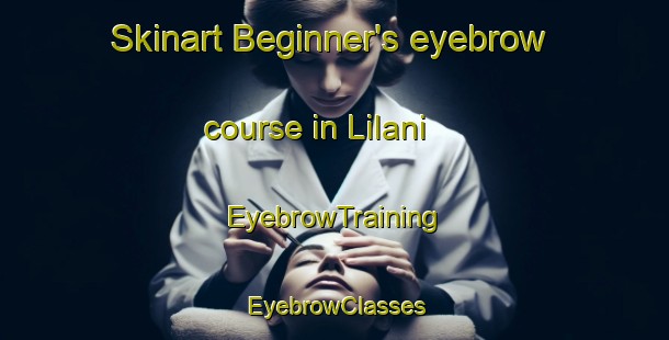 Skinart Beginner's eyebrow course in Lilani | EyebrowTraining | EyebrowClasses | SkinartTraining-South Africa