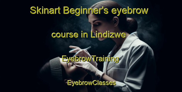 Skinart Beginner's eyebrow course in Lindizwe | EyebrowTraining | EyebrowClasses | SkinartTraining-South Africa