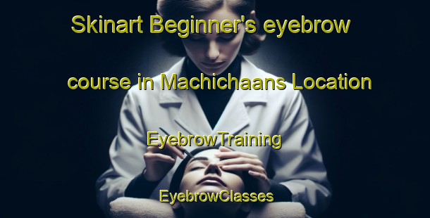 Skinart Beginner's eyebrow course in Machichaans Location | EyebrowTraining | EyebrowClasses | SkinartTraining-South Africa