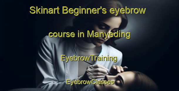 Skinart Beginner's eyebrow course in Manyeding | EyebrowTraining | EyebrowClasses | SkinartTraining-South Africa