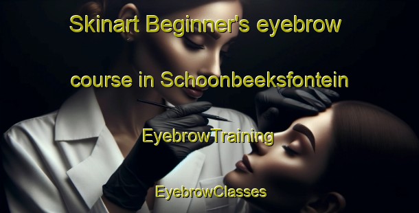 Skinart Beginner's eyebrow course in Schoonbeeksfontein | EyebrowTraining | EyebrowClasses | SkinartTraining-South Africa