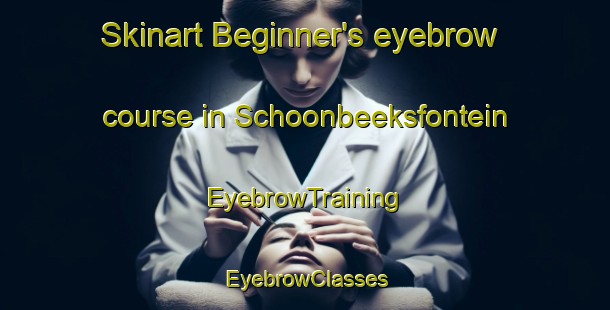 Skinart Beginner's eyebrow course in Schoonbeeksfontein | EyebrowTraining | EyebrowClasses | SkinartTraining-South Africa