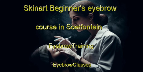 Skinart Beginner's eyebrow course in Soetfontein | EyebrowTraining | EyebrowClasses | SkinartTraining-South Africa