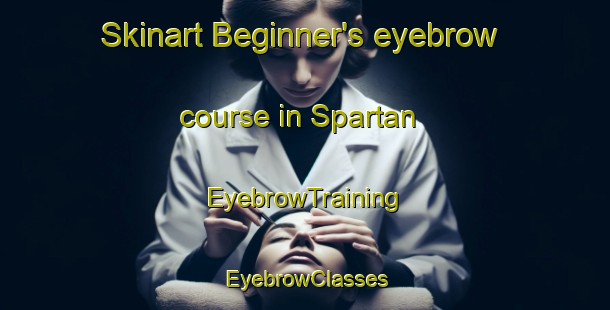 Skinart Beginner's eyebrow course in Spartan | EyebrowTraining | EyebrowClasses | SkinartTraining-South Africa